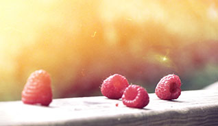 自动充值平台的网页攻击平台